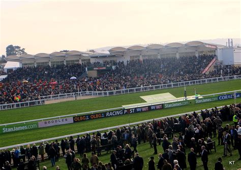 cheltenham 2016